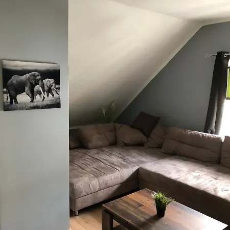 Zentrum 50 04 Apartment